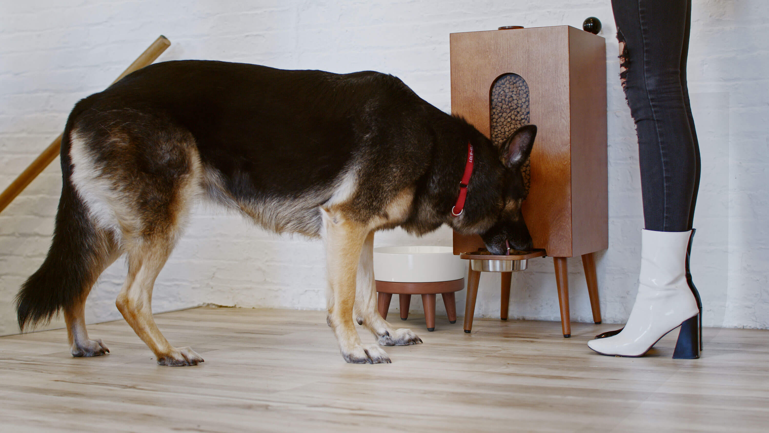 Houndsy Kibble Dispenser